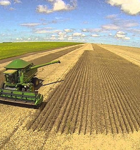 Mato Grosso retoma liderança nacional e impulsiona produção agropecuária em 2025