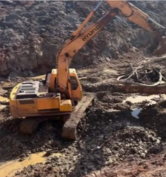 Ministério Público denuncia fazendeiros por extração ilegal e R$ 27 milhões em danos ambientais em MT