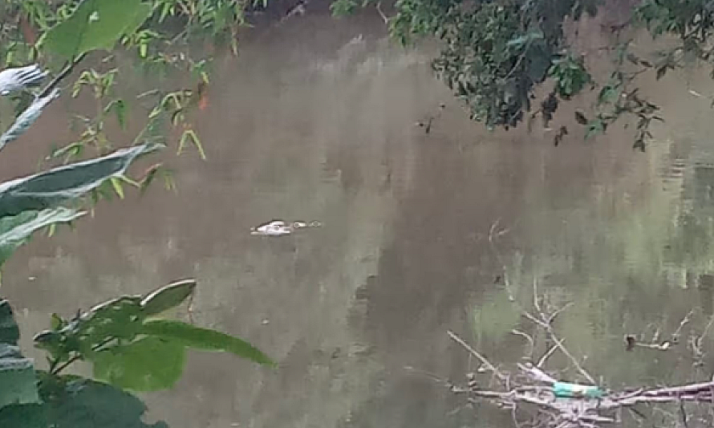 Marcas de sangue e corpo submerso mobilizam buscas no Rio Manduquinha