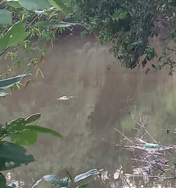 Marcas de sangue e corpo submerso mobilizam buscas no Rio Manduquinha