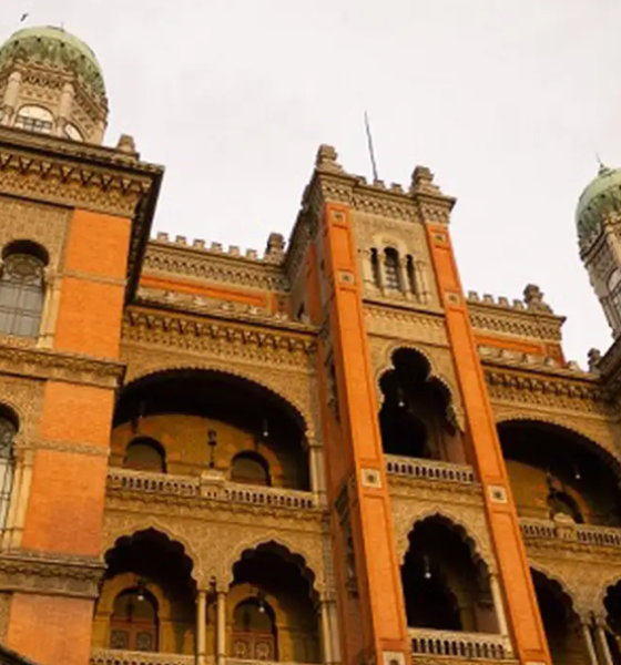 Fiocruz coloca o Brasil na elite da ciência com testes de terapia gênica para AME