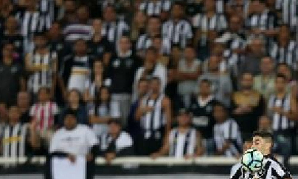 Botafogo irá banir torcedor que cometeu racismo contra Palmeiras