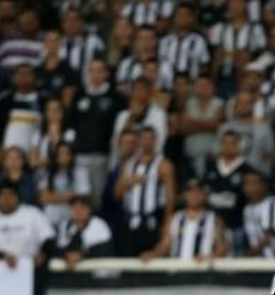 Botafogo irá banir torcedor que cometeu racismo contra Palmeiras