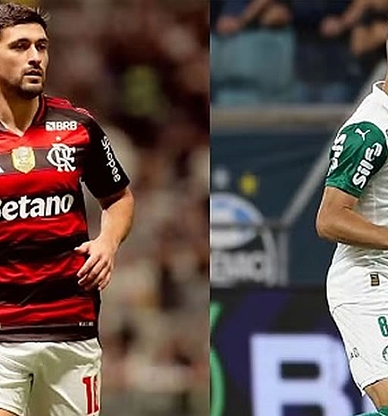Como chegam Flamengo e Palmeiras para a grande final da Libertadores 