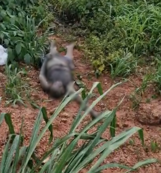 Corpo é encontrado em decomposição em área de mata