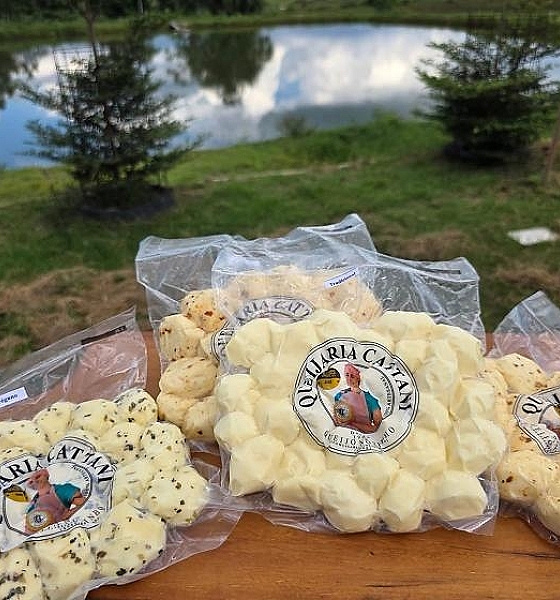 Golpista engana queijaria em MT e família de deputado perde R$ 10 mil em falsa venda de câmara fria