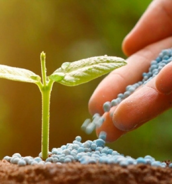 Brasil aposta na retomada industrial para cortar dependncia externa de fertilizantes