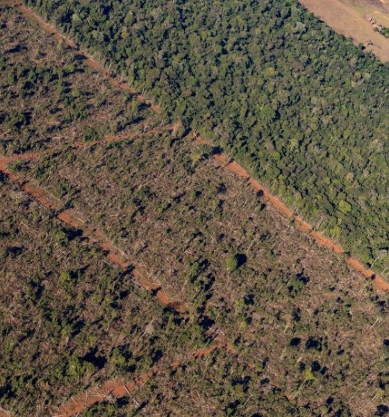 Sema embarga 1,86 milhão de hectares por crimes ambientais de 2019 a 2024