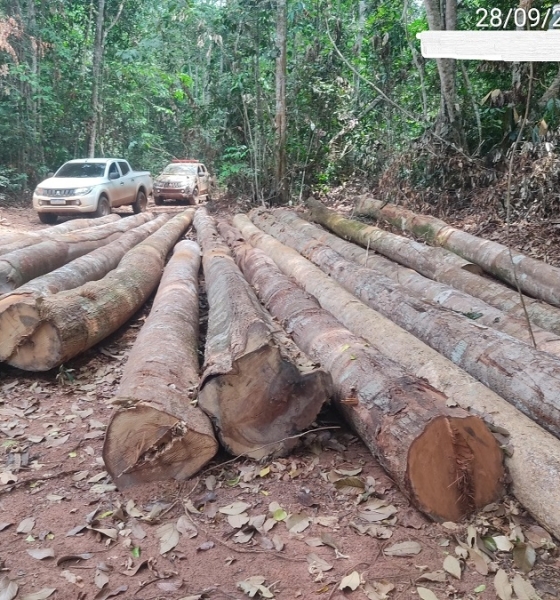 Sema apreende madeira ilegal e embarga área de mais de 10 mil hectares no interior de MT