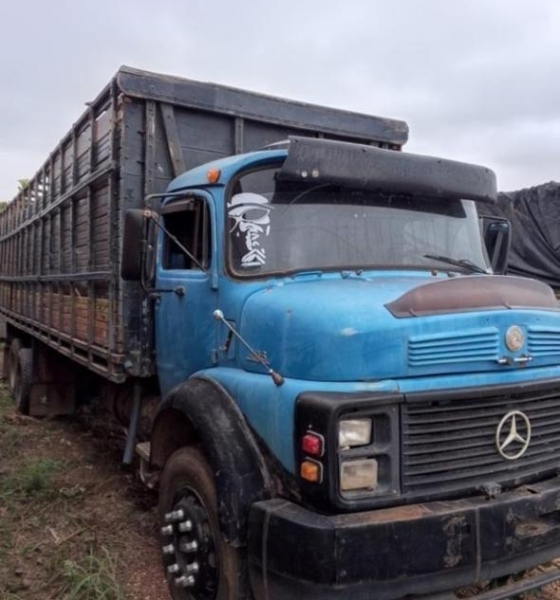 Sejus realiza leilão de bens apreendidos de traficantes e arrecada recursos para fundo estadual