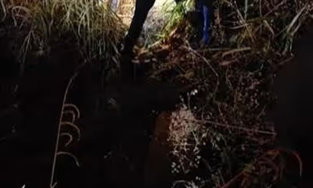 Jovem relata estupro por três homens e é socorrida em estado de choque