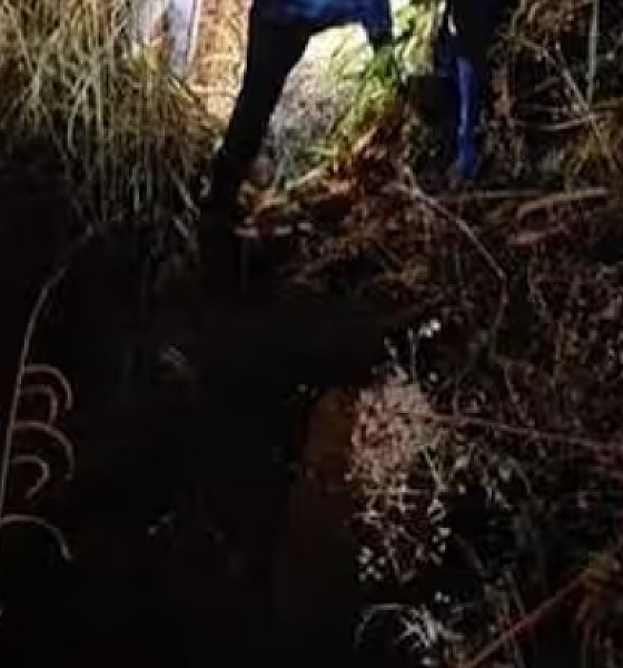 Jovem relata estupro por três homens e é socorrida em estado de choque