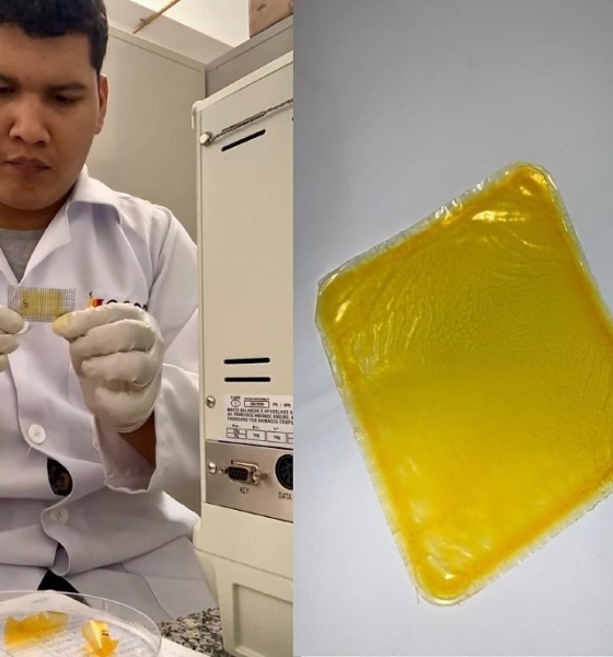 Pesquisa da UFMT cria embalagem biodegradável à base de óleo de pequi com apoio da Fapemat