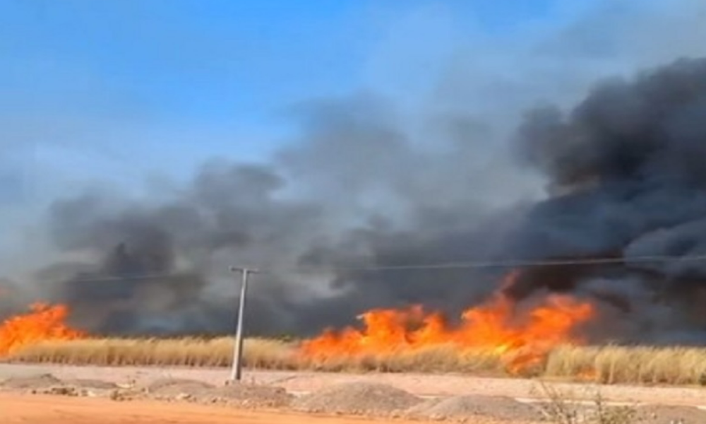 Incêndio de Grandes Proporções Atinge Área de Vegetação em Cuiabá