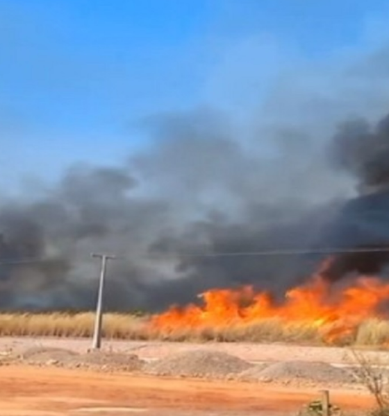 Incêndio de Grandes Proporções Atinge Área de Vegetação em Cuiabá