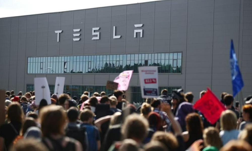 Tesla derruba 500 mil árvores para erguer fábrica; veja antes e depois