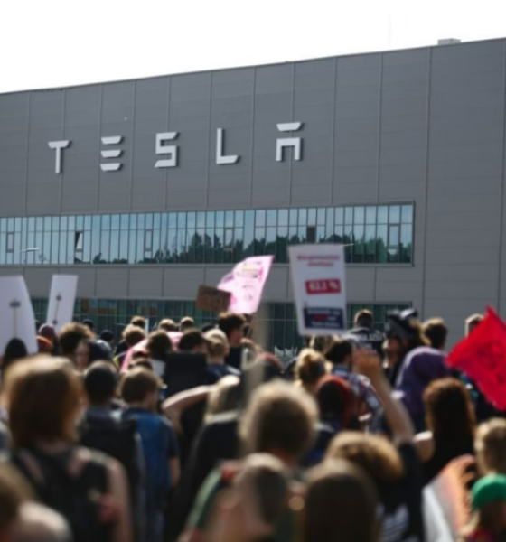 Tesla derruba 500 mil árvores para erguer fábrica; veja antes e depois