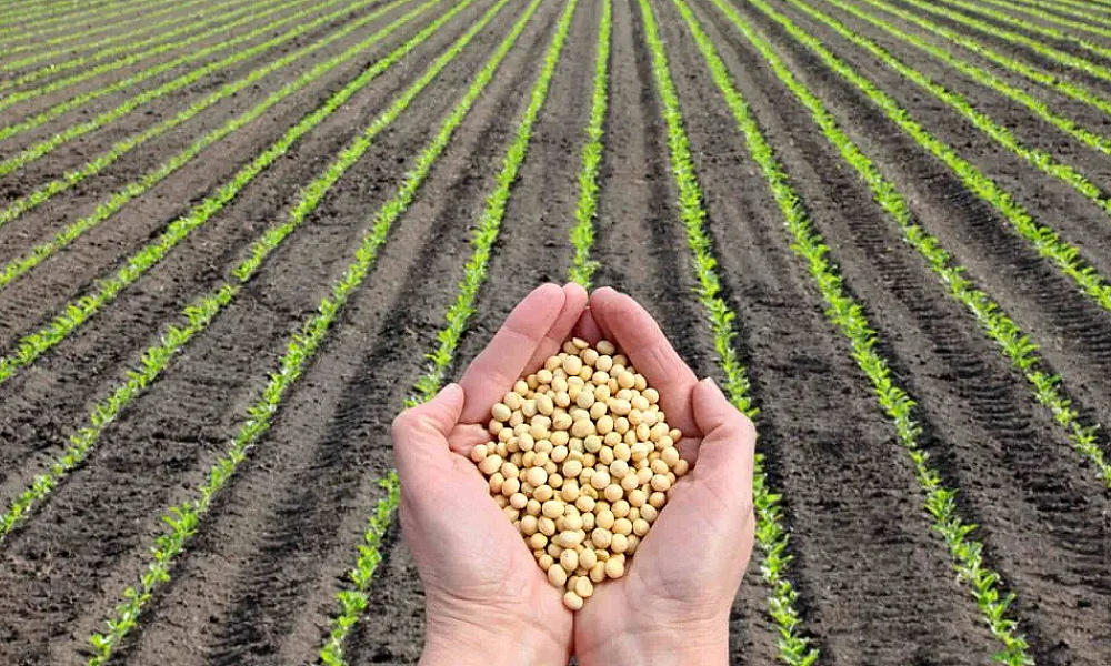 Nova funcionalidade da Agro Brasil + Sustentável habilita áreas de produção para mercados internacionais