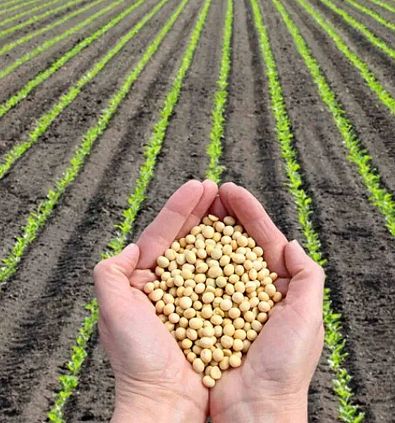 Nova funcionalidade da Agro Brasil + Sustentável habilita áreas de produção para mercados internacionais