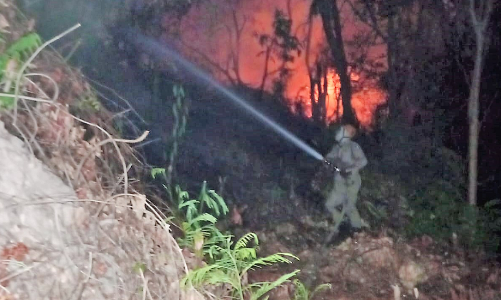 Bombeiros extinguem incêndio no Morro da Luz na região central de Cuiabá