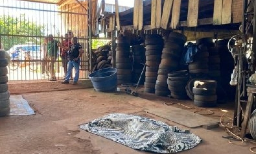 Homem é morto a tiros após criminosos fingirem ser clientes em borracharia