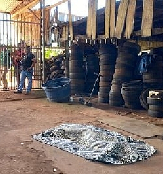 Homem é morto a tiros após criminosos fingirem ser clientes em borracharia