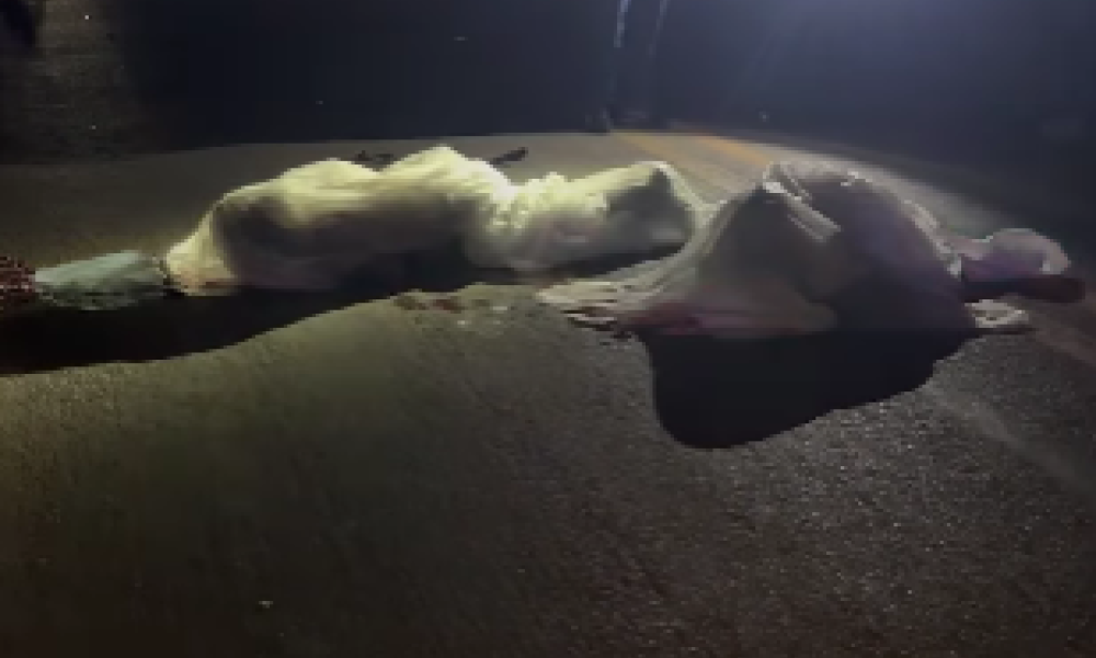 Colisão múltipla na MT-175 deixa três mortos, entre eles uma criança