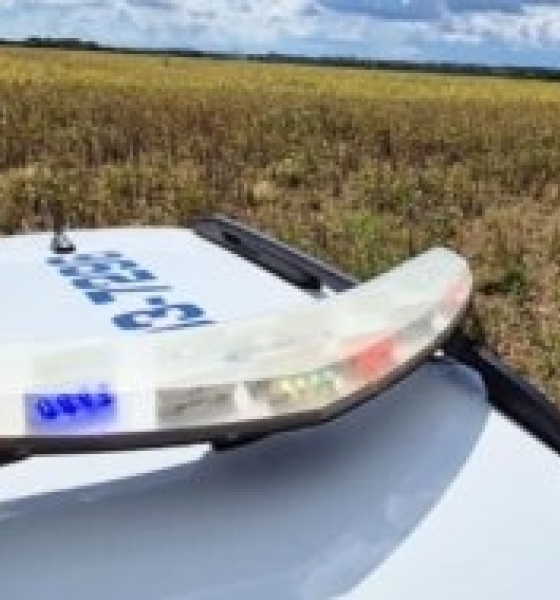 Ossada é encontrada em lavoura de soja e polícia investiga possível execução em Sinop