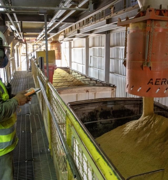 Governo de MT regulamenta uso de créditos de ICMS para produção de etanol e reforça regras fiscais