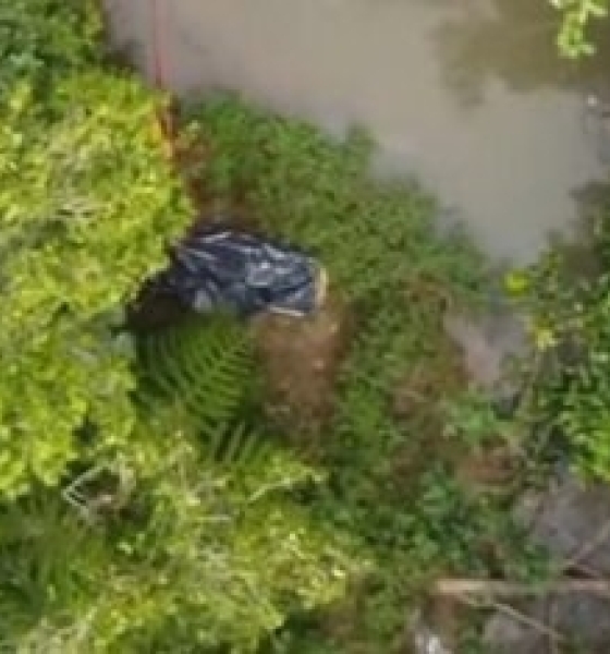 Corpo em decomposição é encontrado mutilado em córrego de Sinop