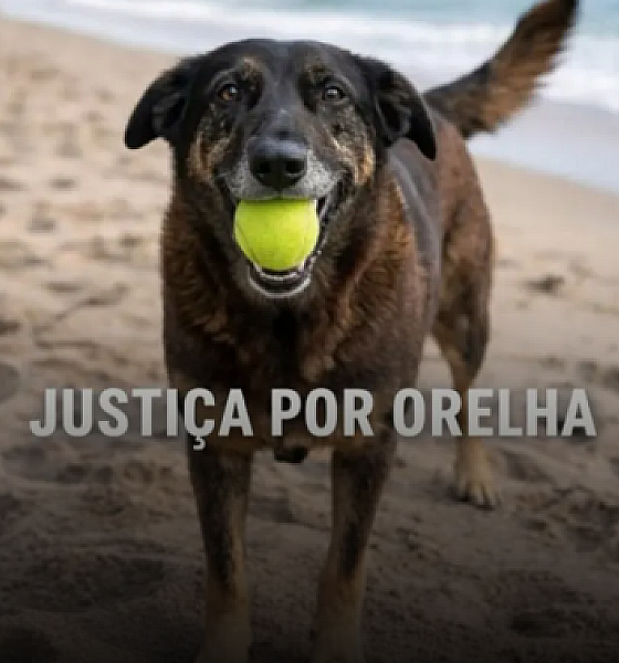Polícia conclui apuração e pede internação de adolescente por morte do cão Orelha