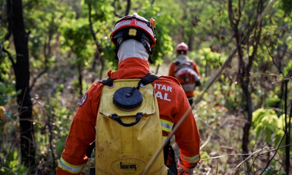 Corpo de Bombeiros Militar combate incêndio no Parque Florestal de Sinop