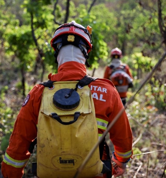 Corpo de Bombeiros Militar combate incêndio no Parque Florestal de Sinop