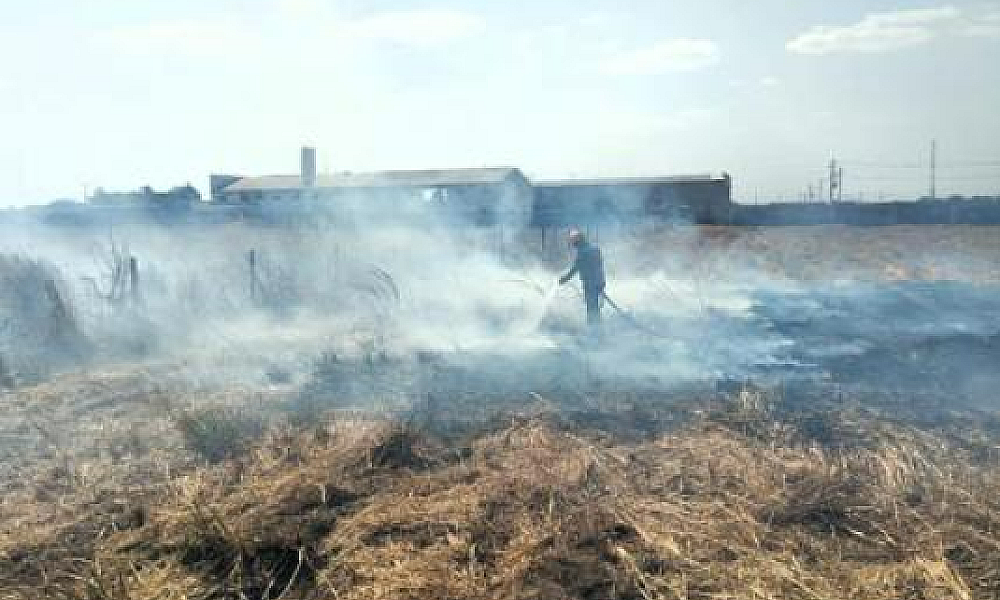 Governo decreta situação de emergência por causa de incêndios