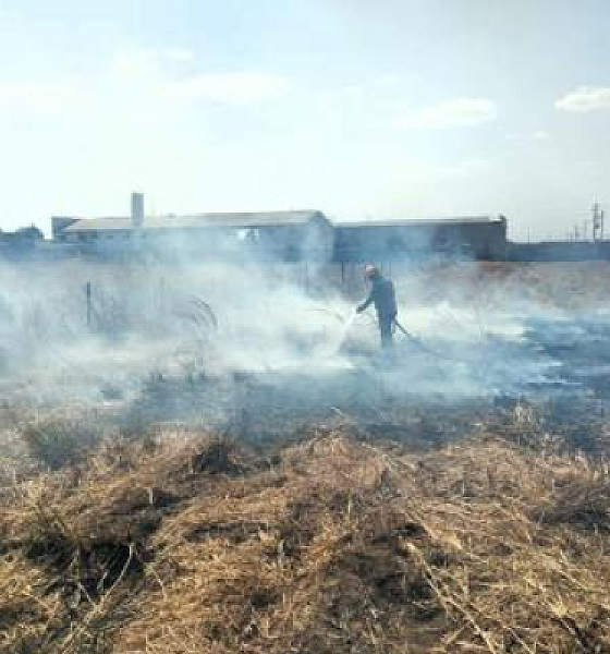 Governo decreta situação de emergência por causa de incêndios