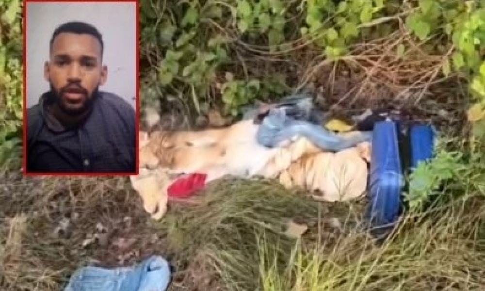 Homem desaparecido desde o início de fevereiro é encontrado morto em Vila Bela