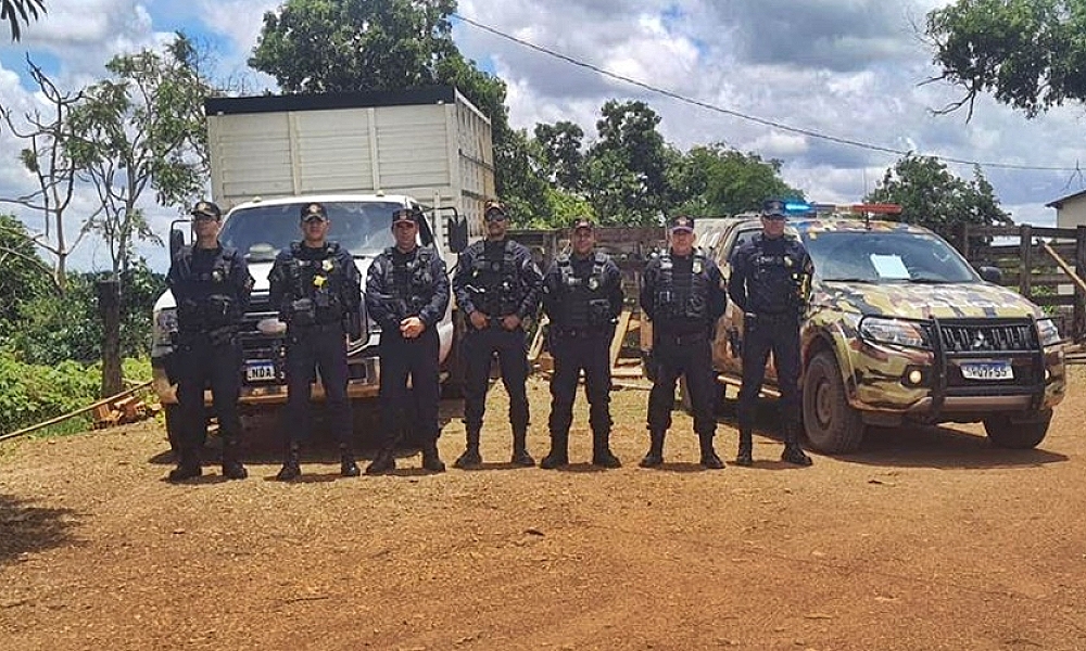 PM recupera parte de rebanho furtado em Jaciara e detém suspeito em Campo Verde