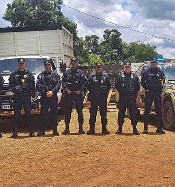 PM recupera parte de rebanho furtado em Jaciara e detém suspeito em Campo Verde