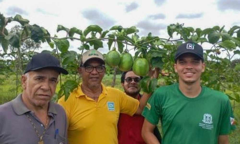 Fruticultura ganha força e amplia renda da agricultura familiar em Várzea Grande