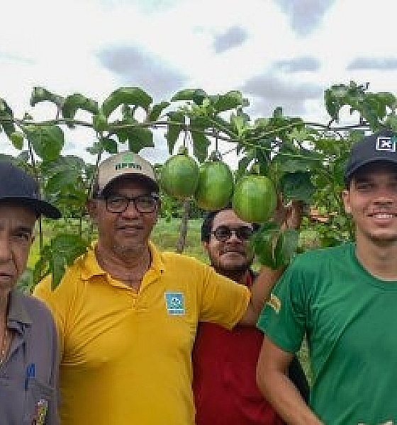Fruticultura ganha força e amplia renda da agricultura familiar em Várzea Grande
