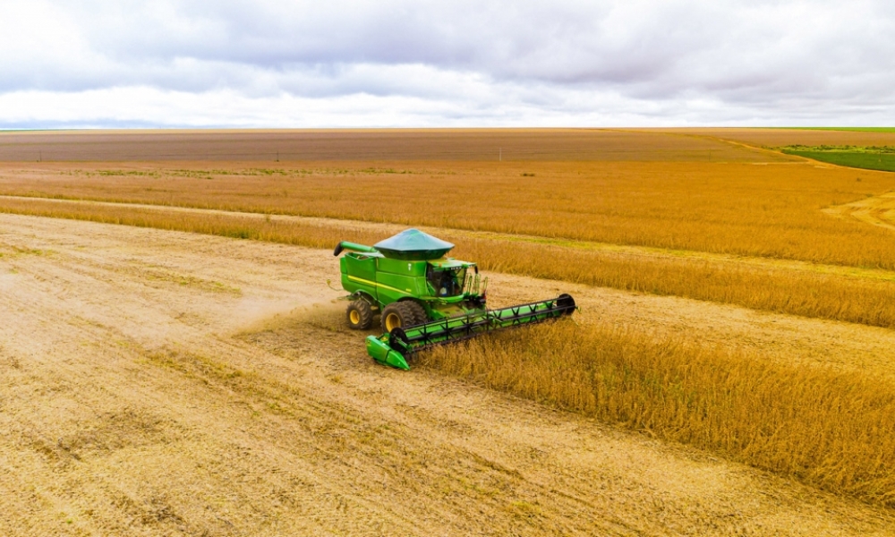 Fiscais do Indea aplicam 58 multas em propriedades rurais por descumprimento do vazio sanitário da soja