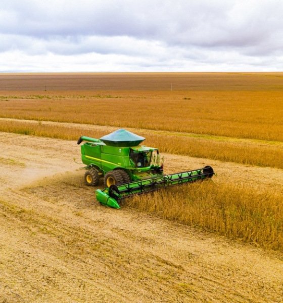 Fiscais do Indea aplicam 58 multas em propriedades rurais por descumprimento do vazio sanitário da soja
