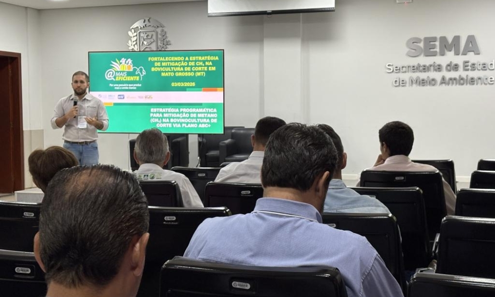 Encontro debate estratégias para reduzir emissões de metano na pecuária de corte em Mato Grosso