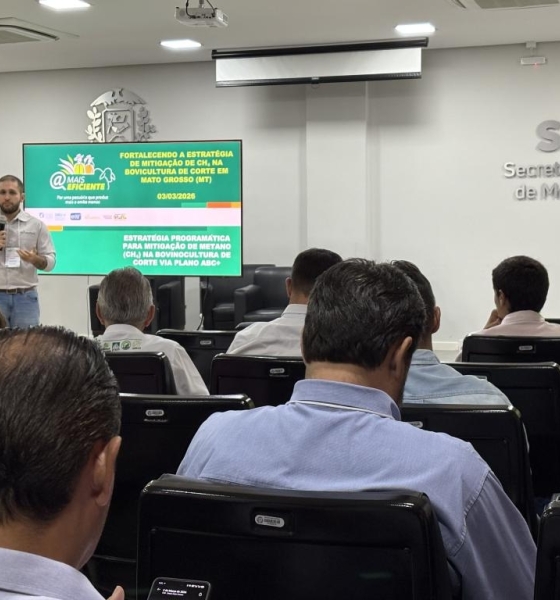 Encontro debate estratégias para reduzir emissões de metano na pecuária de corte em Mato Grosso