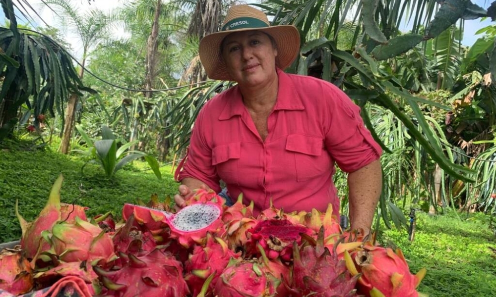 Mulheres ganham espaço no agro e impulsionam produção rural na região de Sorriso