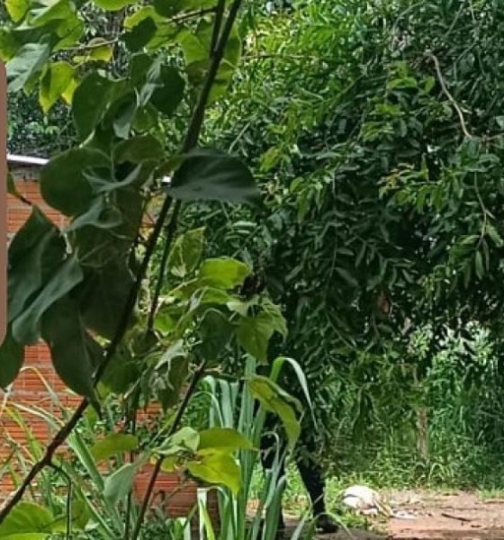 Jovem de 24 anos é encontrado amarrado e morto dentro de residência em Cáceres