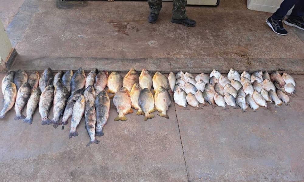 Sema-MT e Polícias Militar e Civil apreendem pescado ilegal em fiscalização na piracema