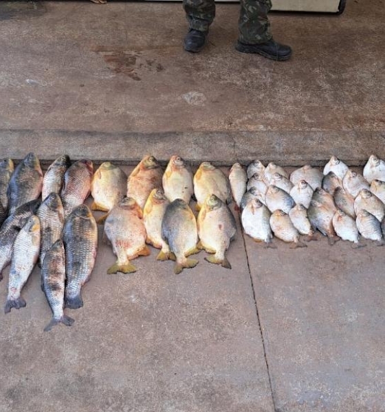 Sema-MT e Polícias Militar e Civil apreendem pescado ilegal em fiscalização na piracema