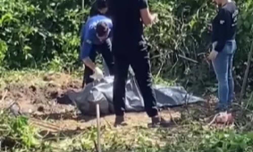 Corpo de jovem desaparecido desde novembro de 2025 é encontrado em canavial em Nova Olímpia
