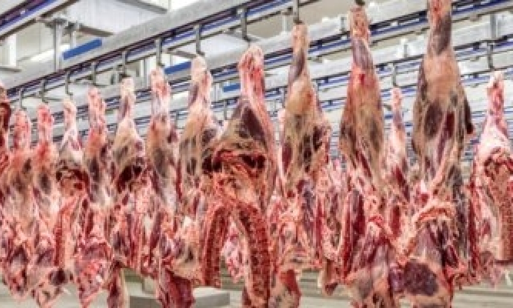 MPF abre investigação contra frigorífico de MT por suspeita de compra de gado de áreas irregulares